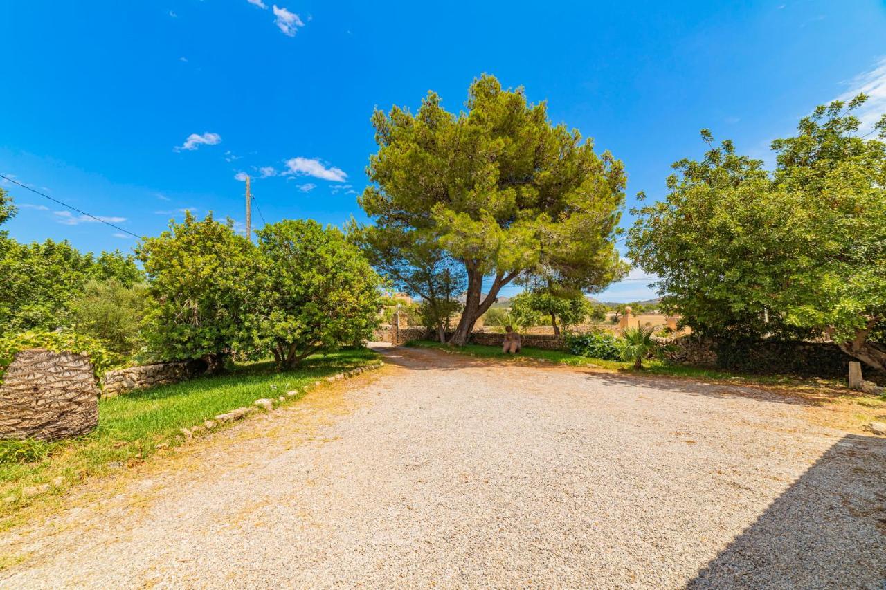 Villa Alcudia Town Ngoại thất bức ảnh